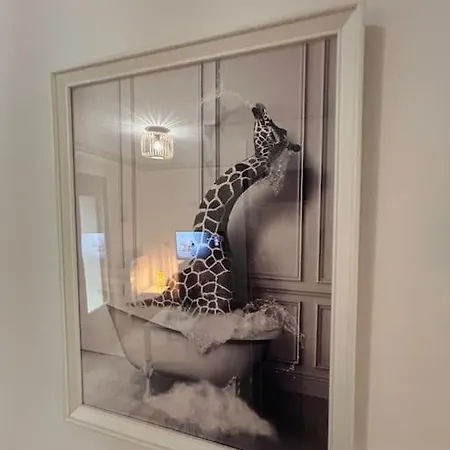 Petit Et Son Abrite Appartement Nancy