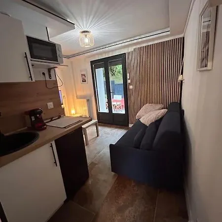 Appartement Petit Et Son Abrite Nancy