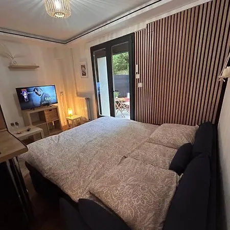 Appartement Petit Et Son Abrite Nancy