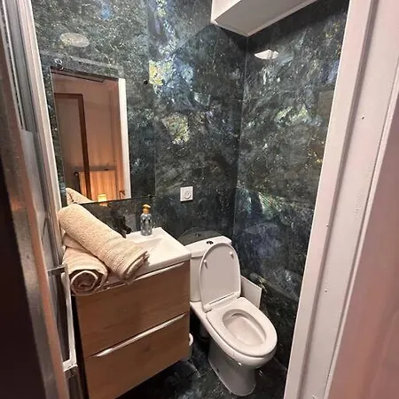 Petit Et Son Abrite Nancy