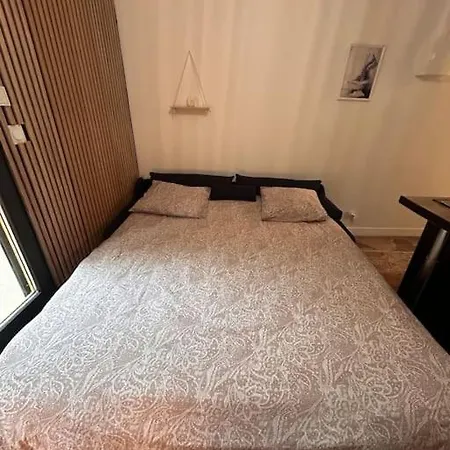 Petit Et Son Abrite * 낭시