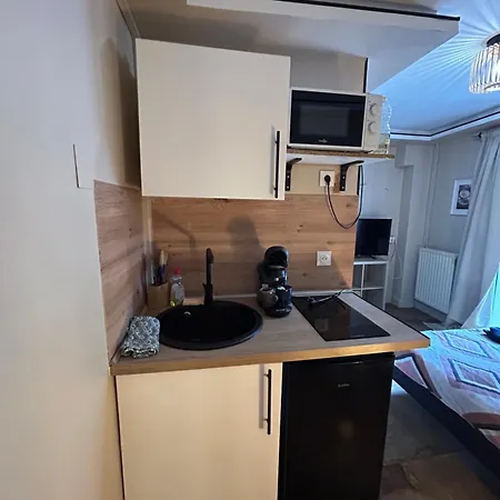 Petit Et Son Abrite Apartment Nancy