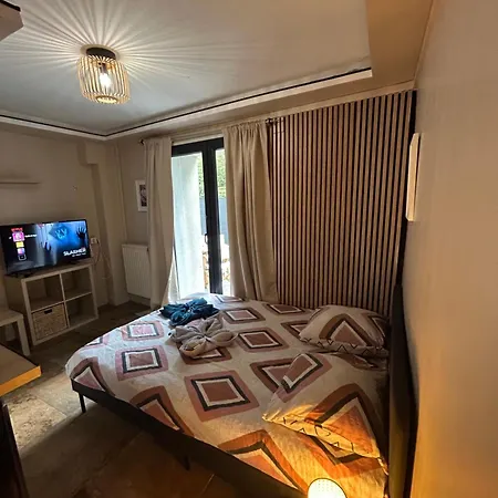 Petit Et Son Abrite Apartment Nancy