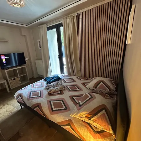 Petit Et Son Abrite Apartment Nancy