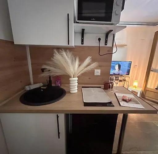 公寓 Petit Et Son Abrite