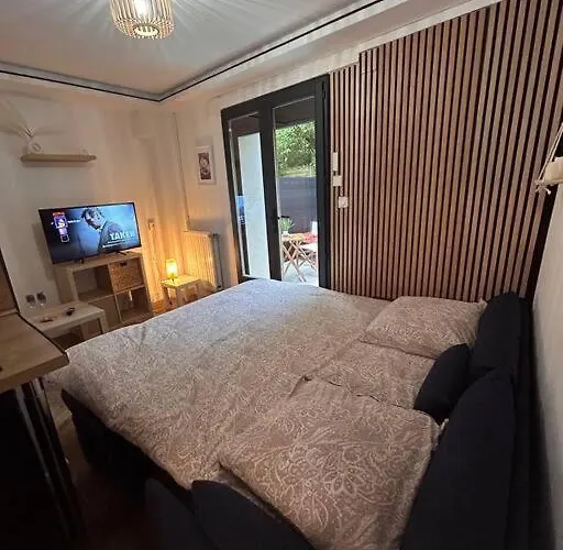 公寓 Petit Et Son Abrite 南锡