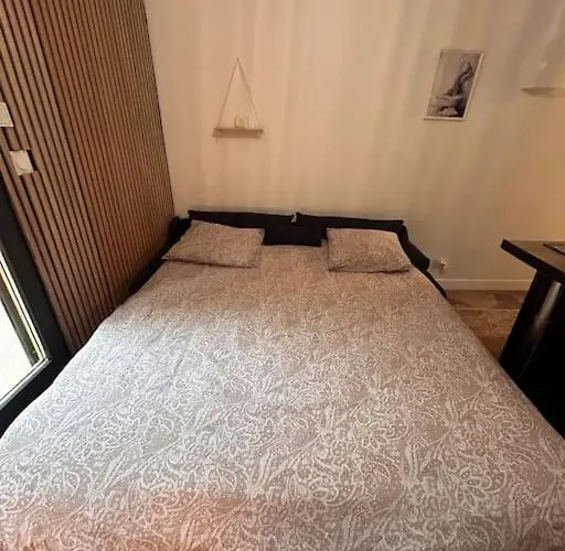 Petit Et Son Abrite * 南锡